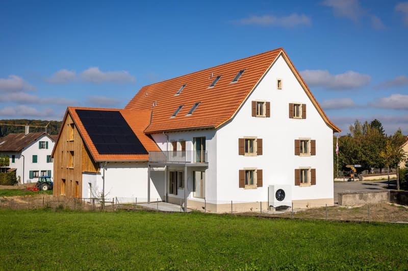 Magnifique appartement en duplex de 3.5 pièces au 2e étage (1)