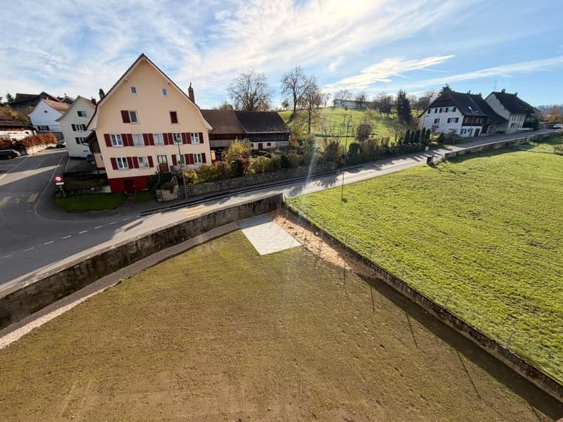 Magnifique appartement en duplex de 3.5 pièces au 2e étage (16)