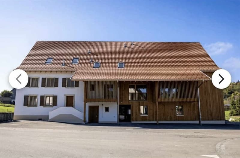 Meraviglioso appartamento duplex di 3.5 locali al 2° piano (1)