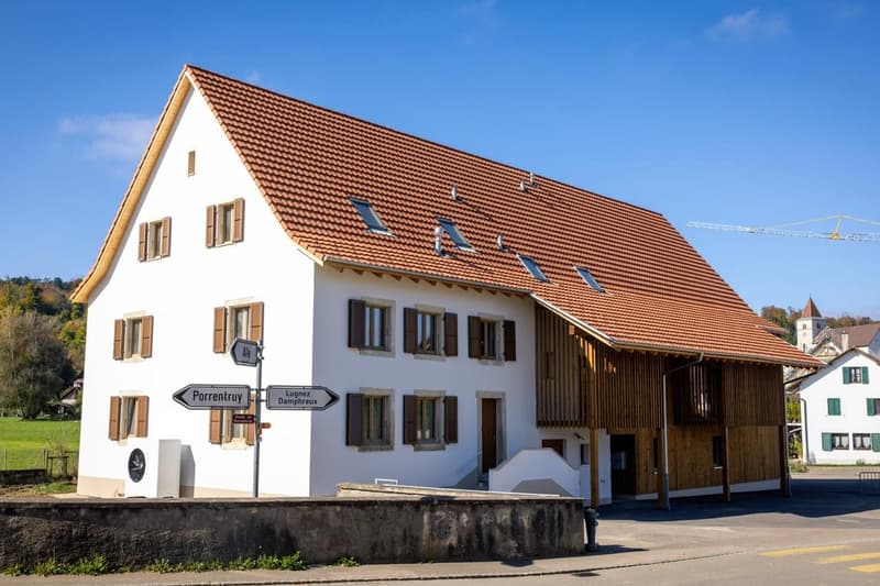 Magnifique appartement en duplex de 3.5 pièces au 2e étage (2)