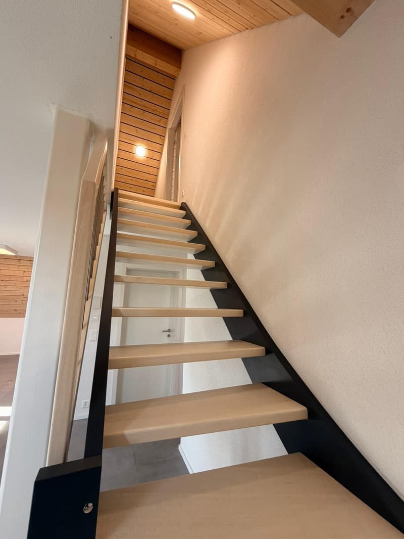 Magnifique appartement en duplex de 3.5 pièces au 2e étage (11)