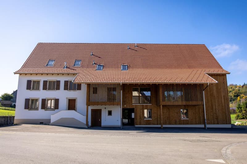 Magnifique appartement en duplex de 3.5 pièces au 2e étage (3)
