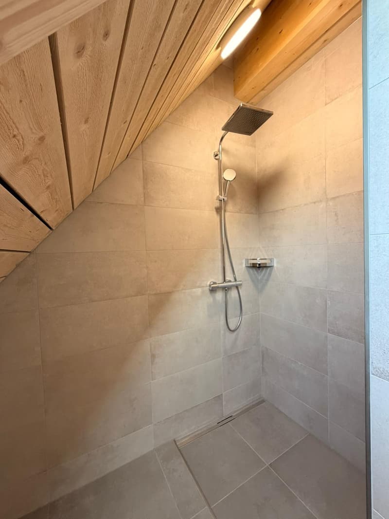 Magnifique appartement en duplex de 3.5 pièces au 2e étage (15)