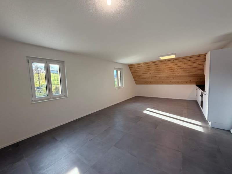 Magnifique appartement en duplex de 3.5 pièces au 2e étage (5)