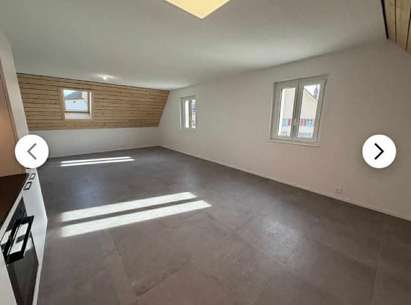 Meraviglioso appartamento duplex di 3.5 locali al 2° piano (5)