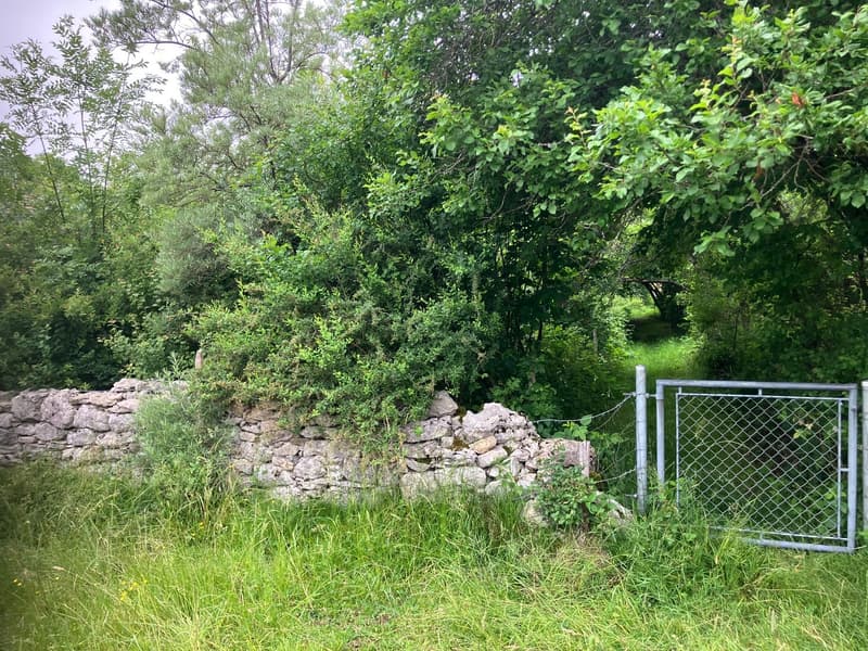 Antica fattoria di 8 locali da ristrutturare situata in campagna (17)