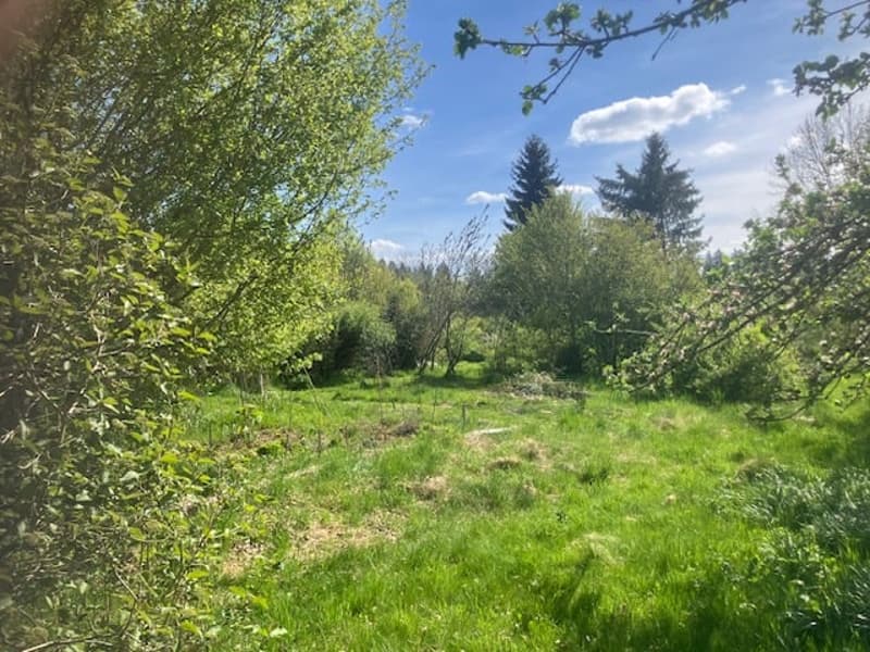 Antica fattoria di 8 locali da ristrutturare situata in campagna (13)