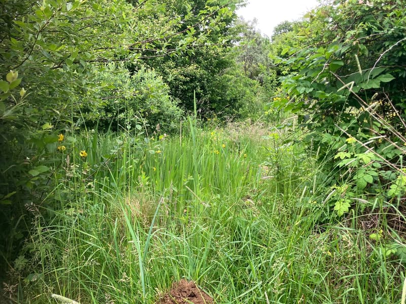 Antica fattoria di 8 locali da ristrutturare situata in campagna (16)