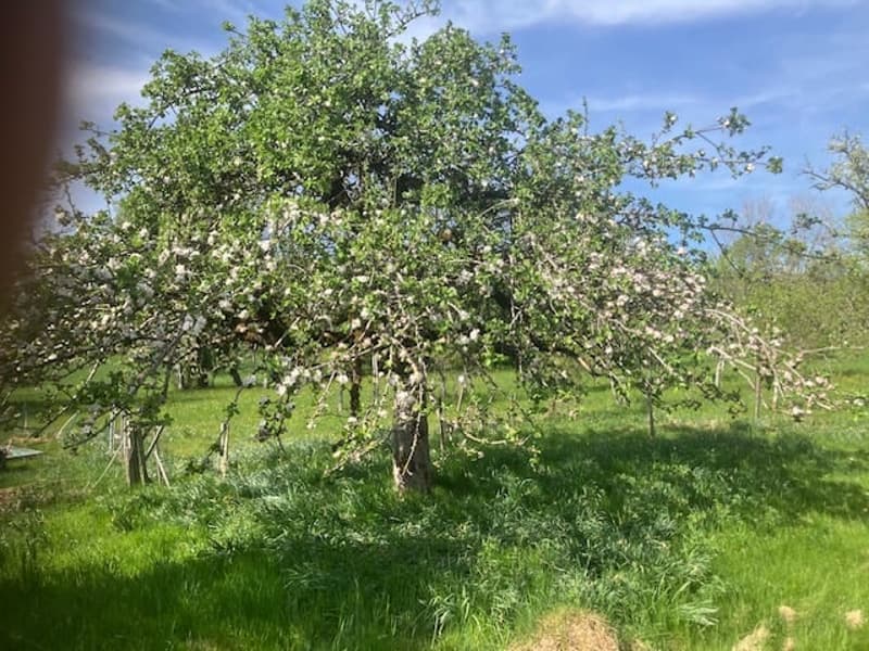 Antica fattoria di 8 locali da ristrutturare situata in campagna (12)