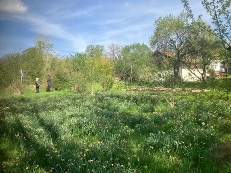 Antica fattoria di 8 locali da ristrutturare situata in campagna (15)