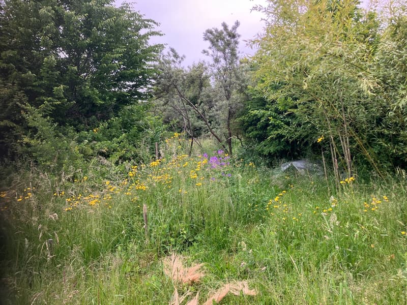 Antica fattoria di 8 locali da ristrutturare situata in campagna (19)