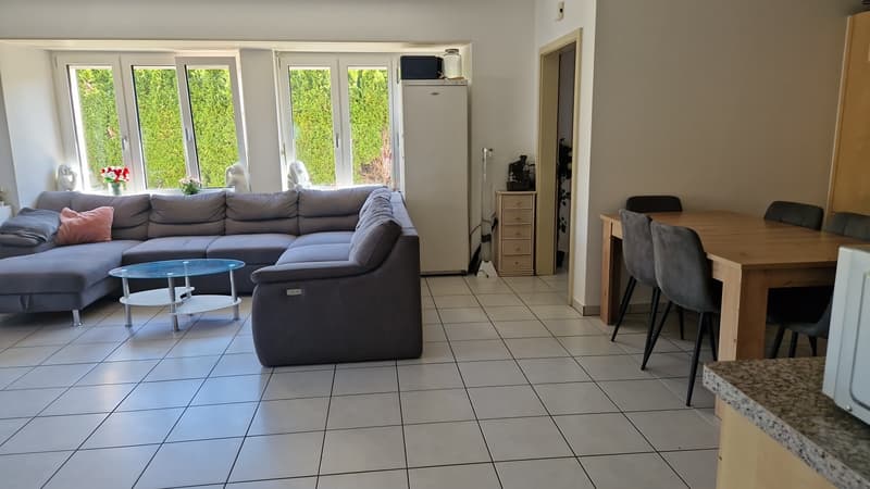 Spacieux logement de 4 1/2 pièces au rez avec terrasse privative (3)