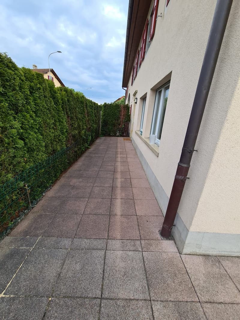 Spacieux logement de 4 1/2 pièces au rez avec terrasse privative (3)