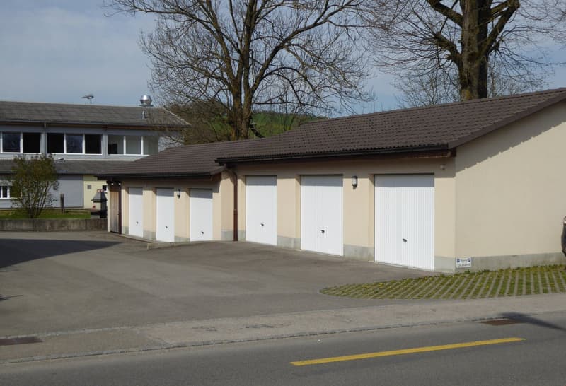 Spacieux logement de 4 1/2 pièces au rez avec terrasse privative (4)