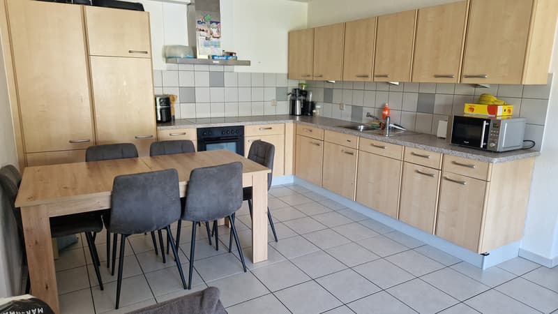 Spacieux logement de 4 1/2 pièces au rez avec terrasse privative (1)
