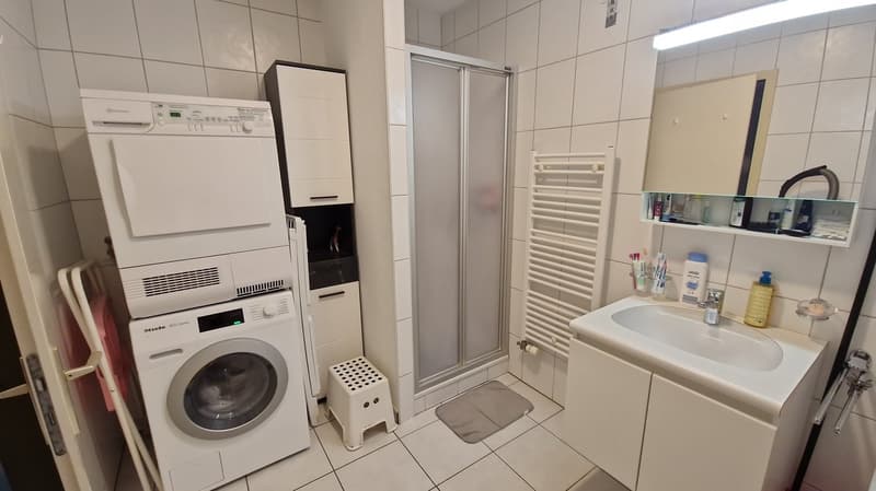 Spacieux logement de 4 1/2 pièces au rez avec terrasse privative (6)