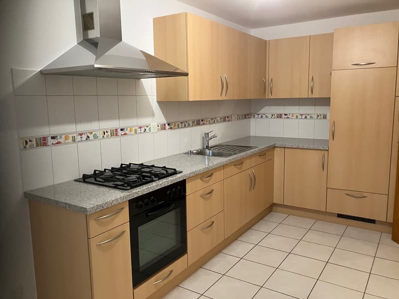 Schönes 3-Zimmer-Apartment im 1. Stock (1)