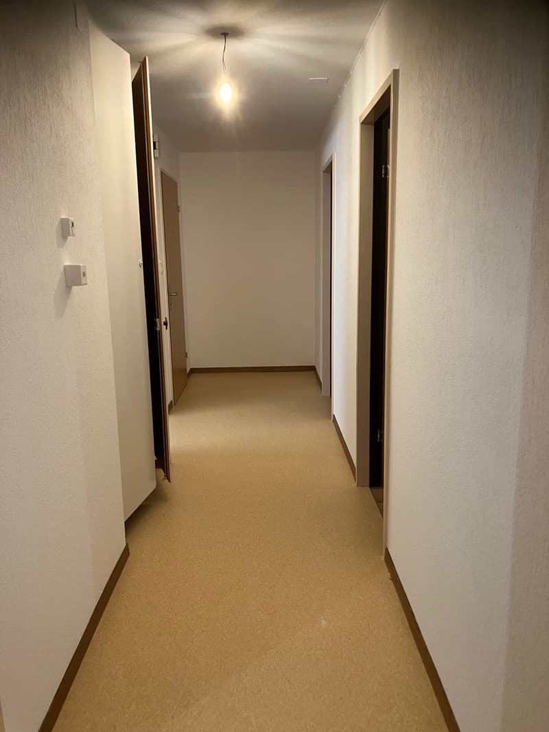 Schönes 3-Zimmer-Apartment im 1. Stock (7)