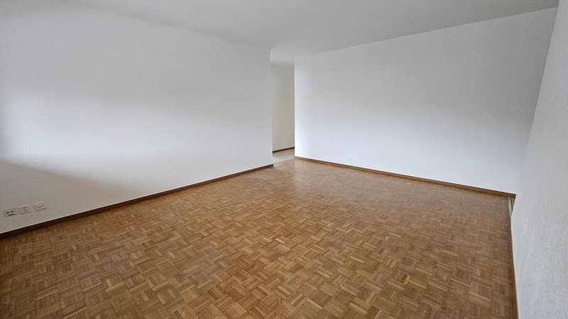 Beautiful 4-room apartment on the 2nd floor (6)