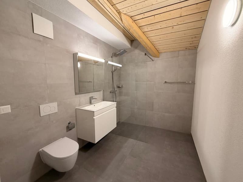 Magnifique appartement en duplex de 3.5 pièces au 2e étage (12)