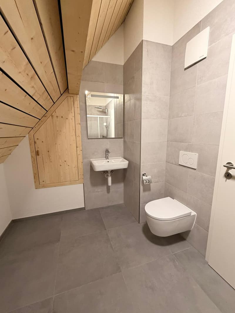 Magnifique appartement en duplex de 3.5 pièces au 2e étage (8)