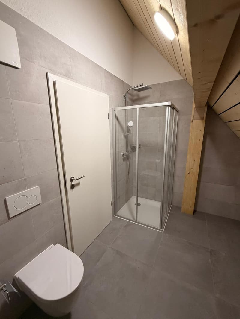 Magnifique appartement en duplex de 3.5 pièces au 2e étage (9)