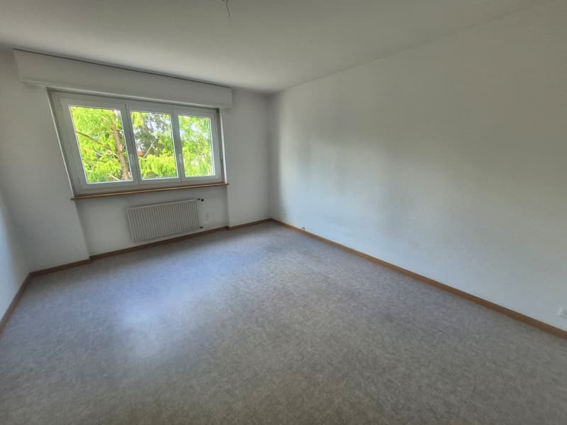 Schönes und geräumiges 3-Zimmer-Apartment im 3. Stock (6)