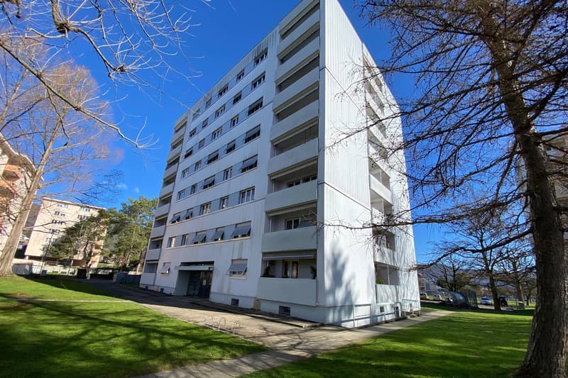 Schönes und geräumiges 3-Zimmer-Apartment im 3. Stock (1)