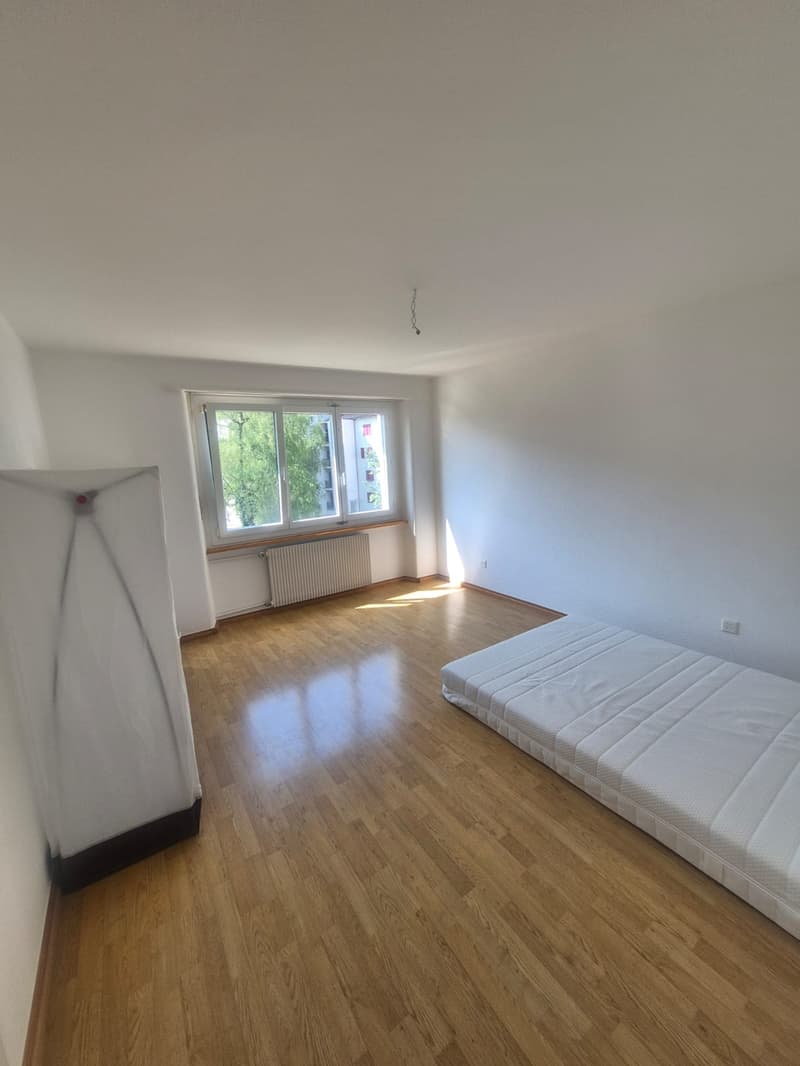 Schönes 3,5-Zimmer-Apartment im 2. Stock (6)