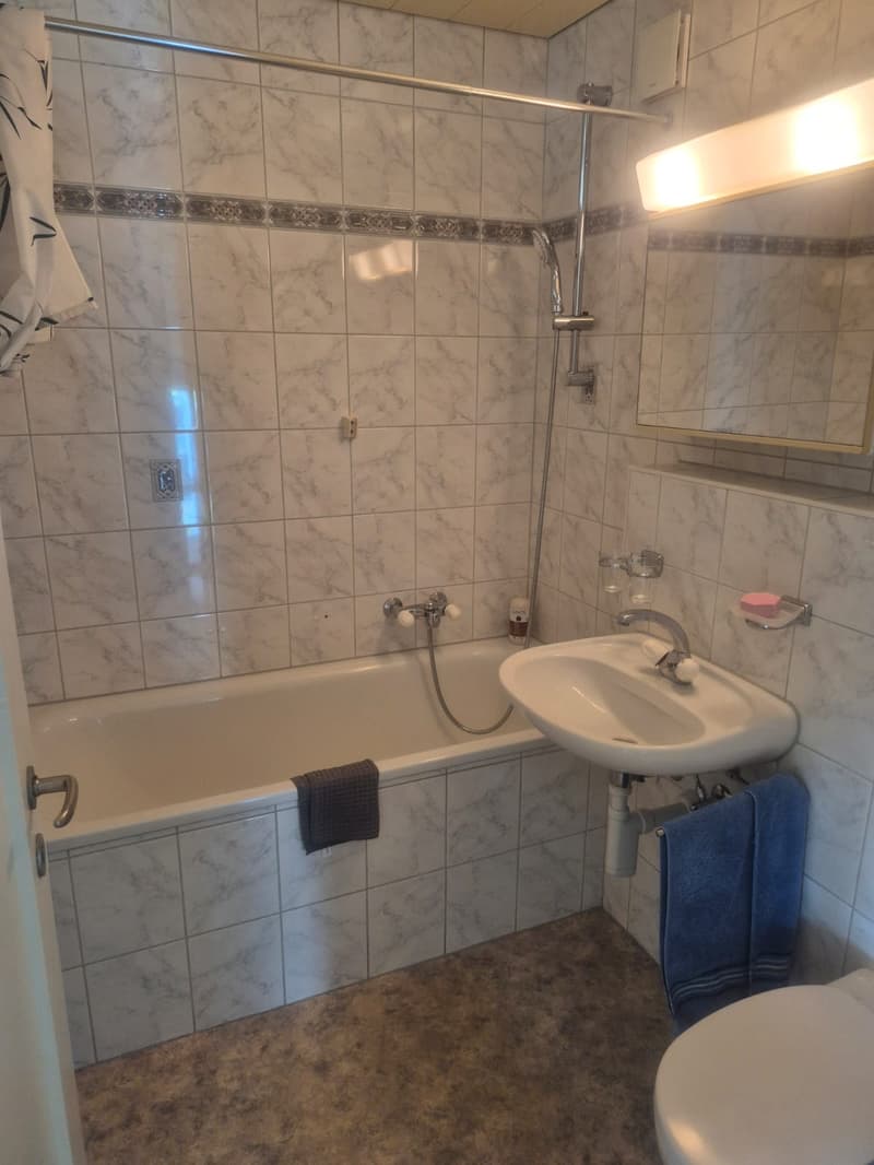 Schönes 3,5-Zimmer-Apartment im 2. Stock (7)