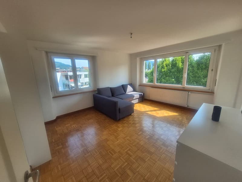 Schönes 3,5-Zimmer-Apartment im 2. Stock (4)
