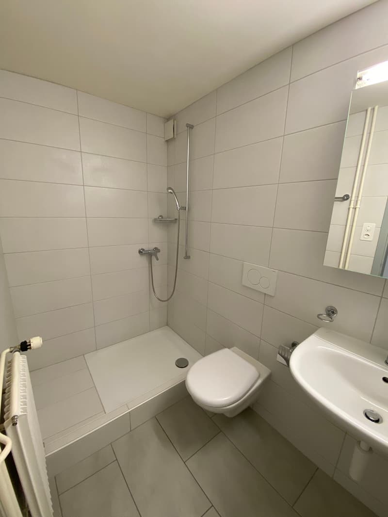 Schönes 1,5-Zimmer-Apartment im 3. Stock (4)