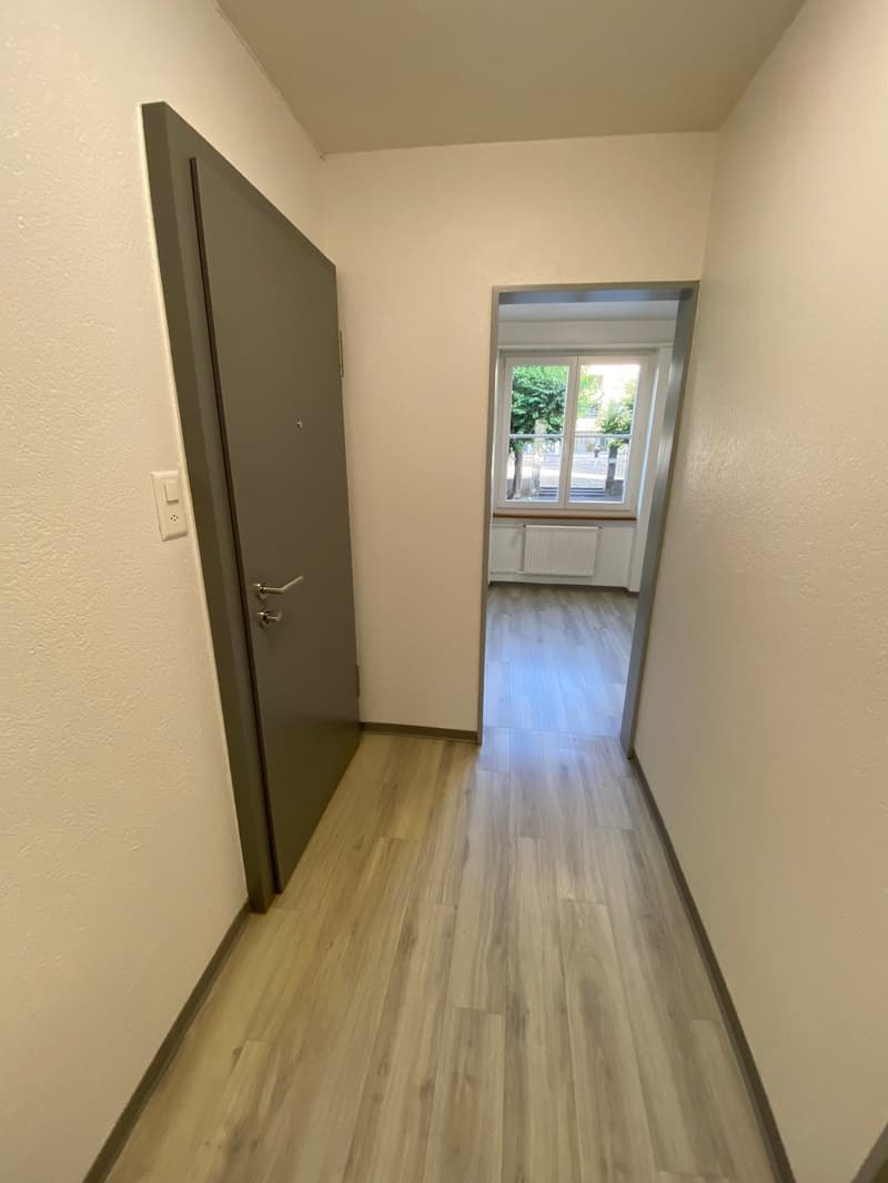 Schönes 1,5-Zimmer-Apartment im 3. Stock (1)