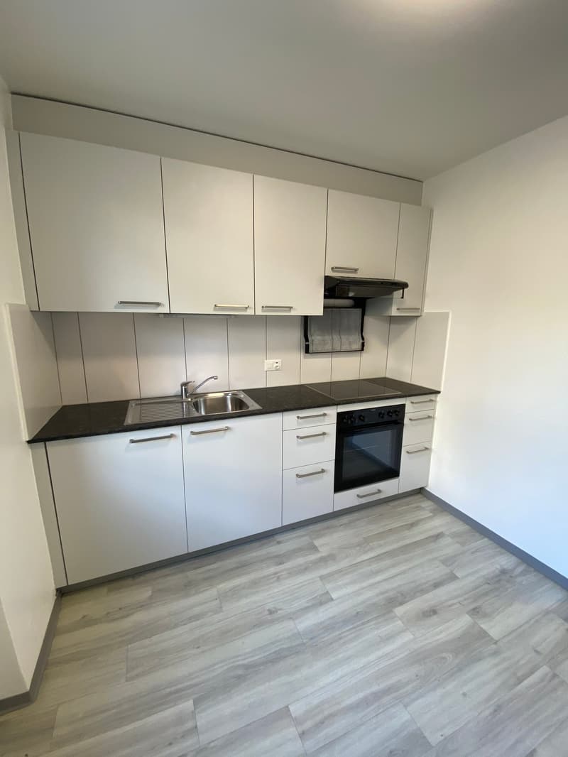 Schönes 1,5-Zimmer-Apartment im 3. Stock (2)