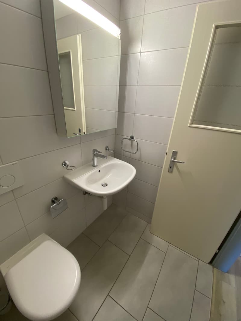Schönes 1,5-Zimmer-Apartment im 3. Stock (5)