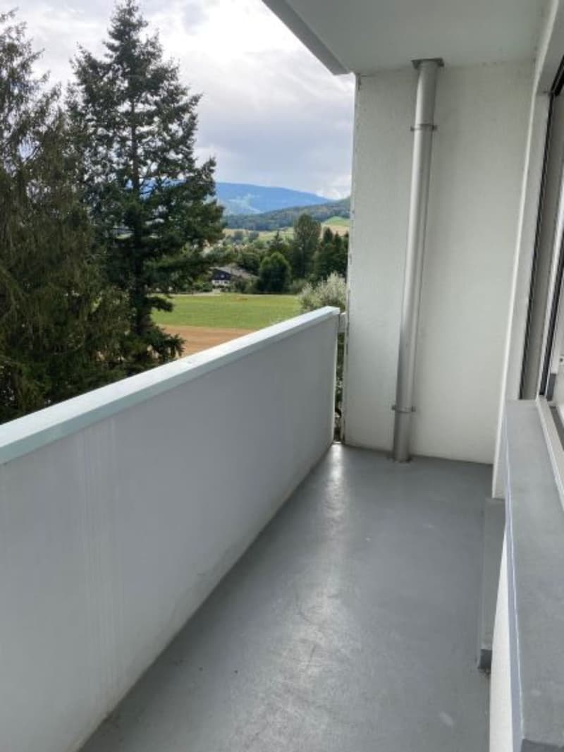 Bello e spazioso appartamento di 4 locali al 4° piano (10)