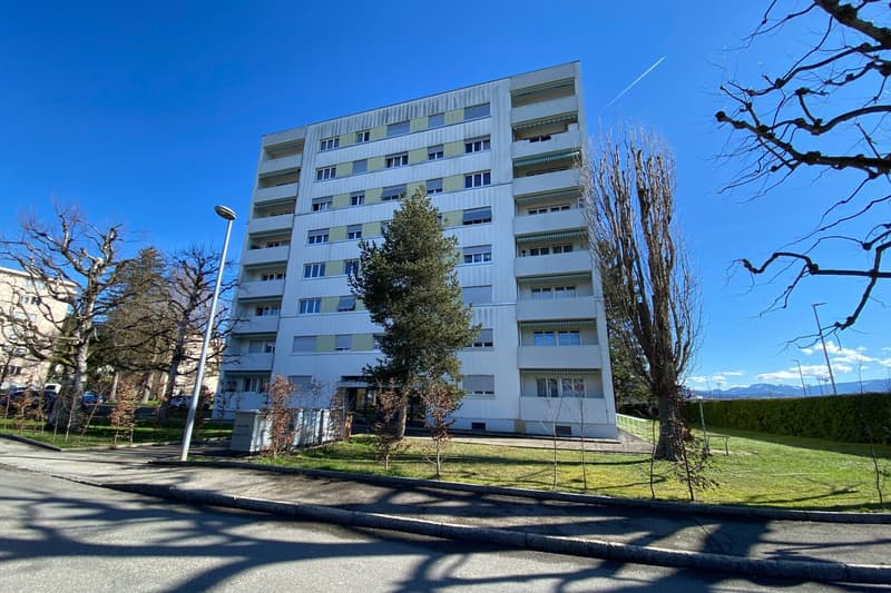 Bello e spazioso appartamento di 4 locali al 4° piano (1)