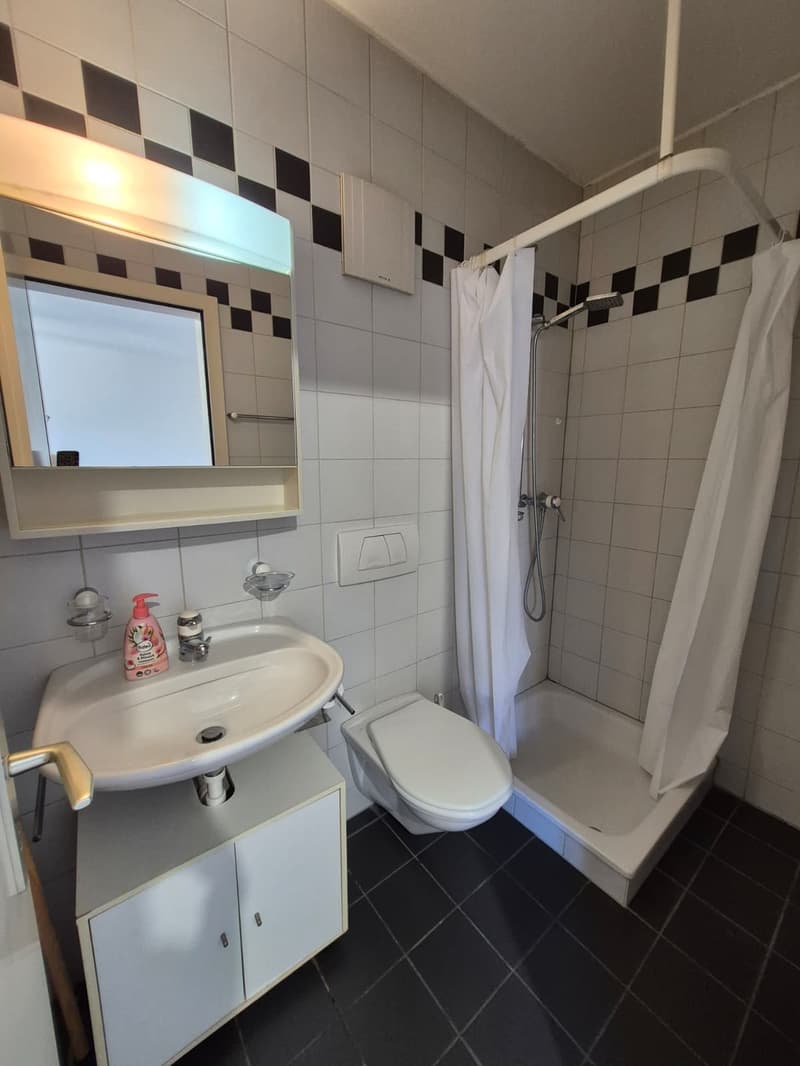 Charmant Studio de 1.5 Pièces au cœur de Delémont (5)