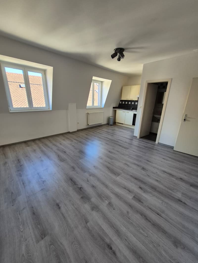 Charmant Studio de 1.5 Pièces au cœur de Delémont (2)