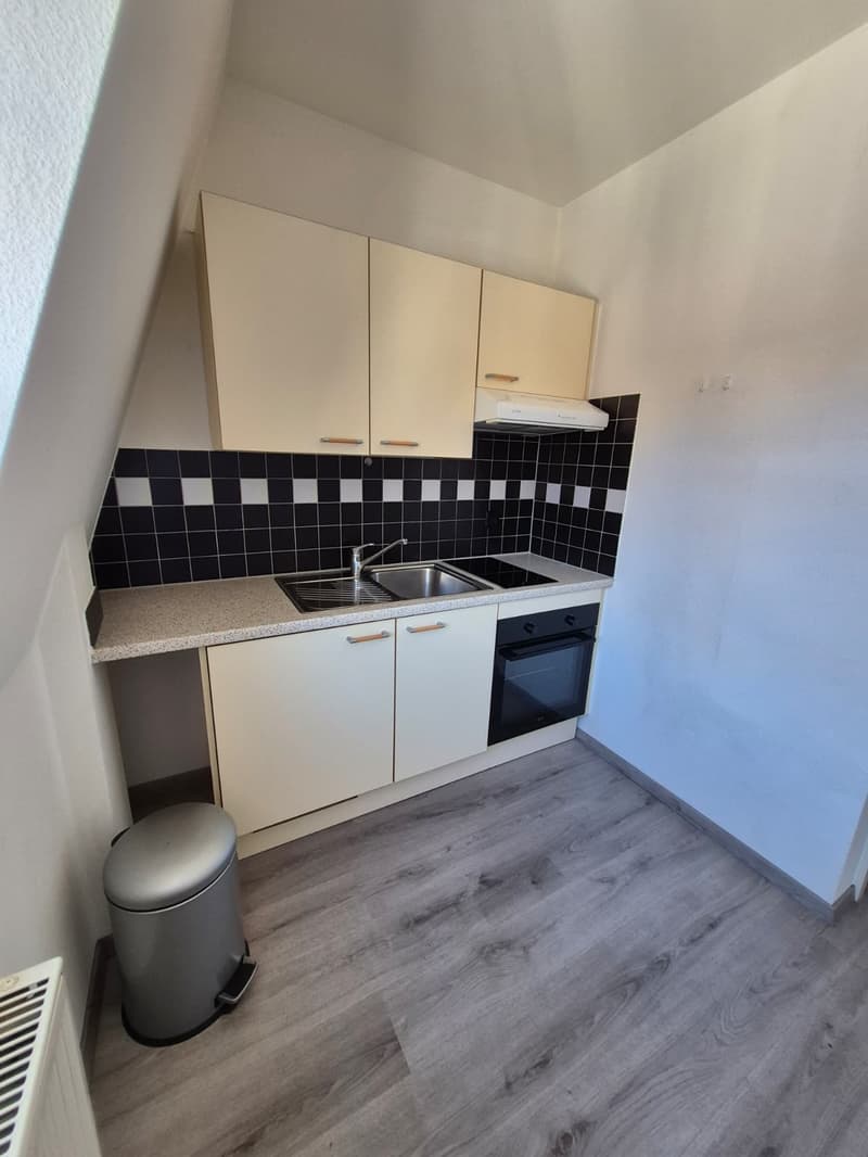 Charmant Studio de 1.5 Pièces au cœur de Delémont (3)