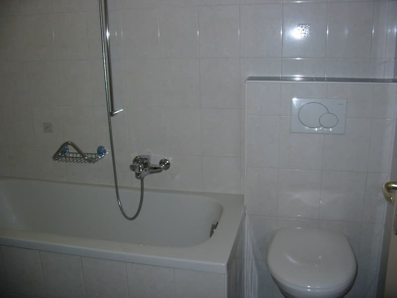 Bel appartement de 3,5 pièces au 1er étage (8)