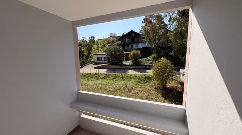 Magnifique appartement de 3,5 pièces au rez-de-chaussée (14)