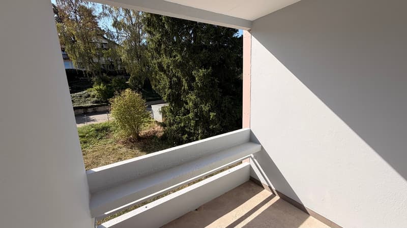 Magnifique appartement de 3,5 pièces au rez-de-chaussée (13)