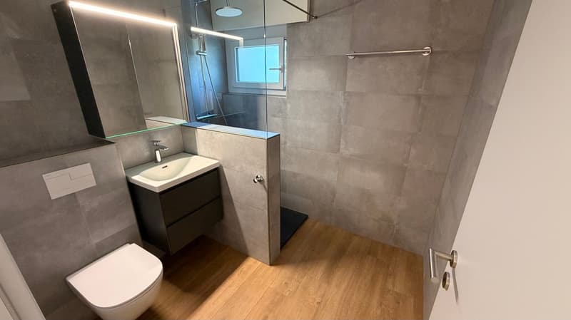 Magnifique appartement de 3,5 pièces au rez-de-chaussée (8)