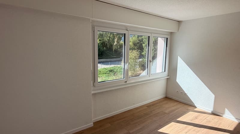 Magnifique appartement de 4,5 pièces au rez-de-chaussée (7)