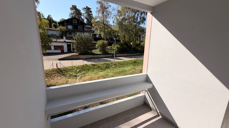 Magnifique appartement de 4,5 pièces au rez-de-chaussée (15)