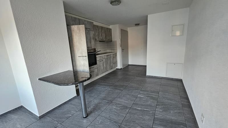 Très bel appartement de 2 pièces au 2e étage (3)