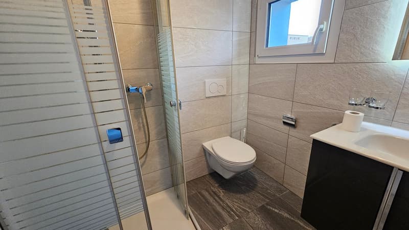 Très bel appartement de 2 pièces au 2e étage (6)
