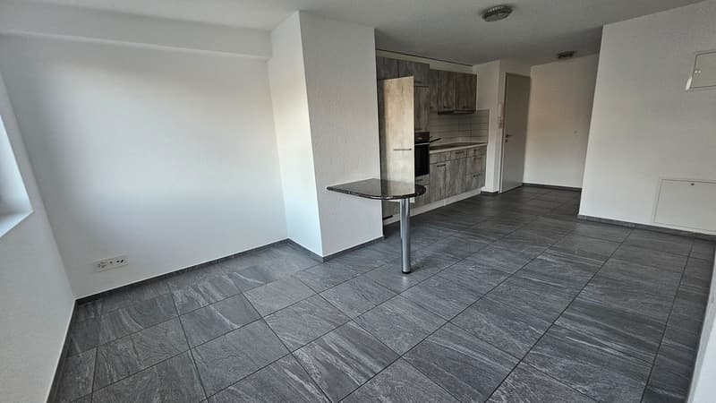 Très bel appartement de 2 pièces au 2e étage (2)