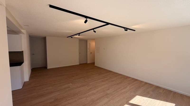 Magnifique appartement de 3,5 pièces au 2e étage (7)